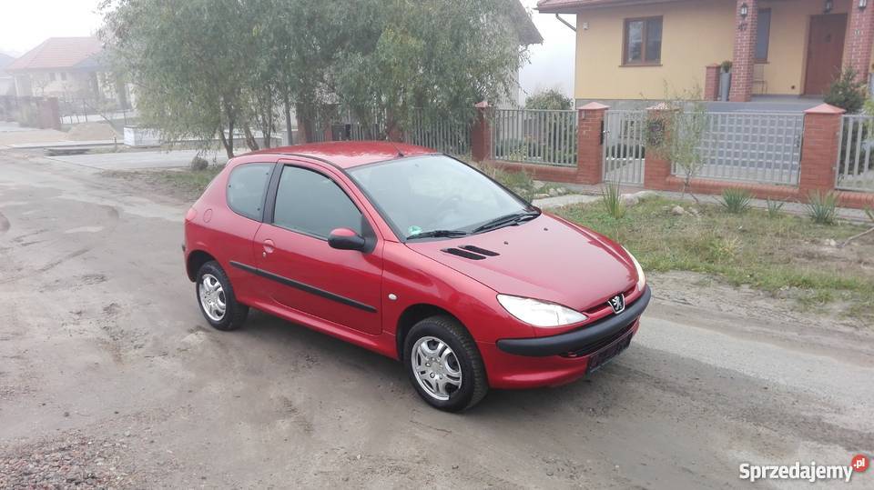 Peugeot 206 Autentyczny przebieg ESP 206 Gniezno