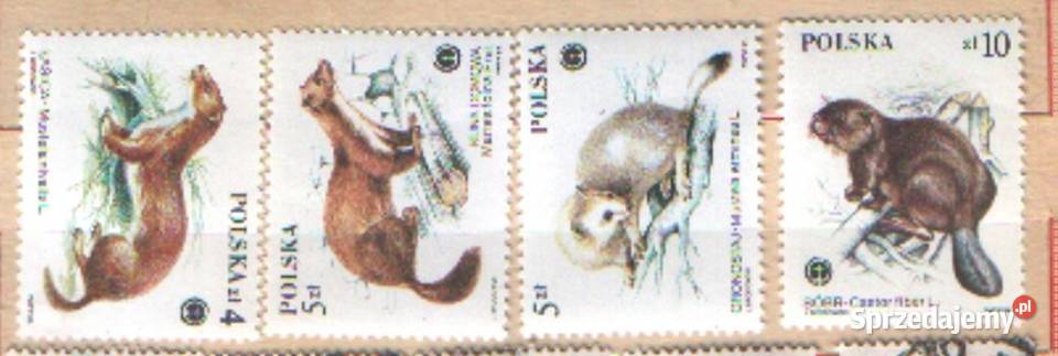 Zn Fi 2798 801 1984 Gliwice