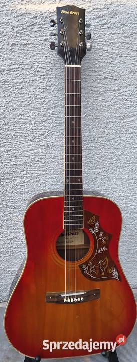 Gitara akustyczna Blue Grass Kultura i Rozrywka wielkopolskie Poznań