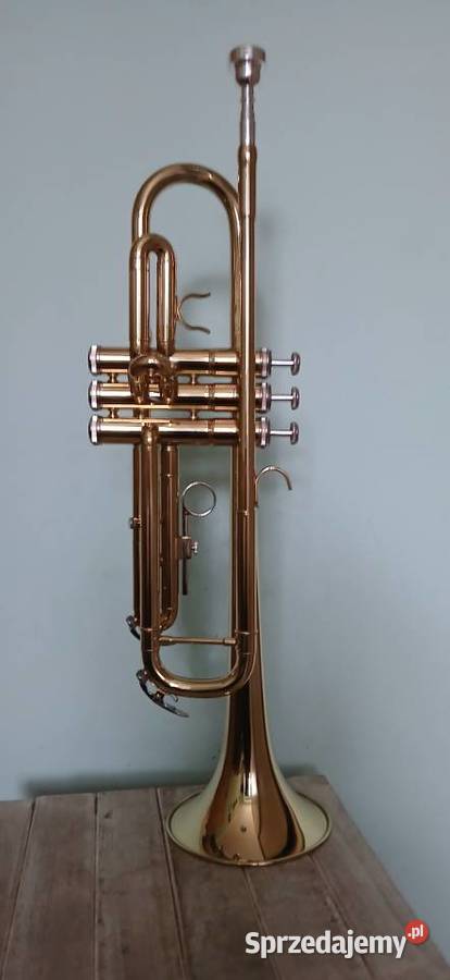 Trąbka mosiezna małopolskie Kraków