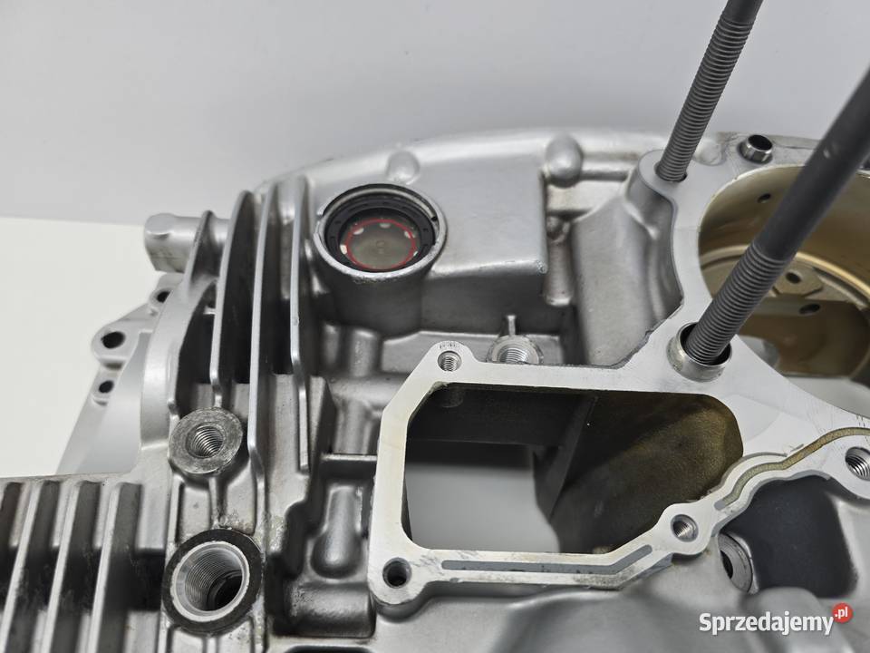 Obudowa Silnika Blok Silnika Korpus Bmw R 1200 Janowice sprzedam