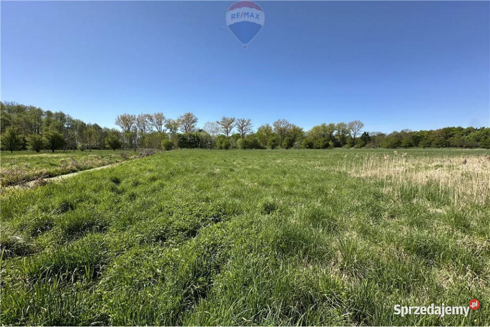 Tereny produkcyjno magazynowo usługowe DK 36 Osiek