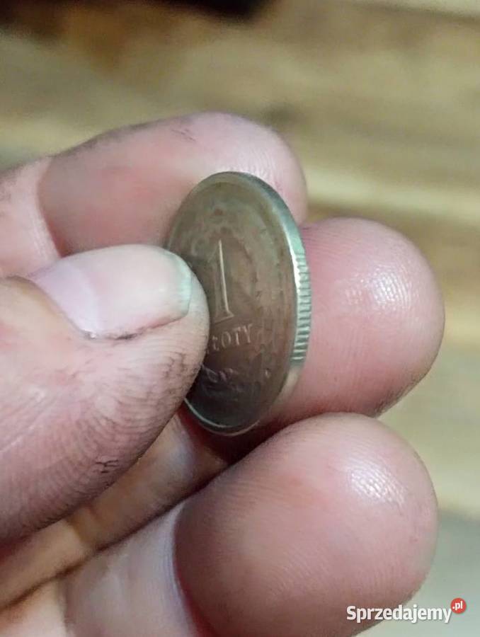 Sprzedam monete 1 zl 1991 lubelskie Chełm