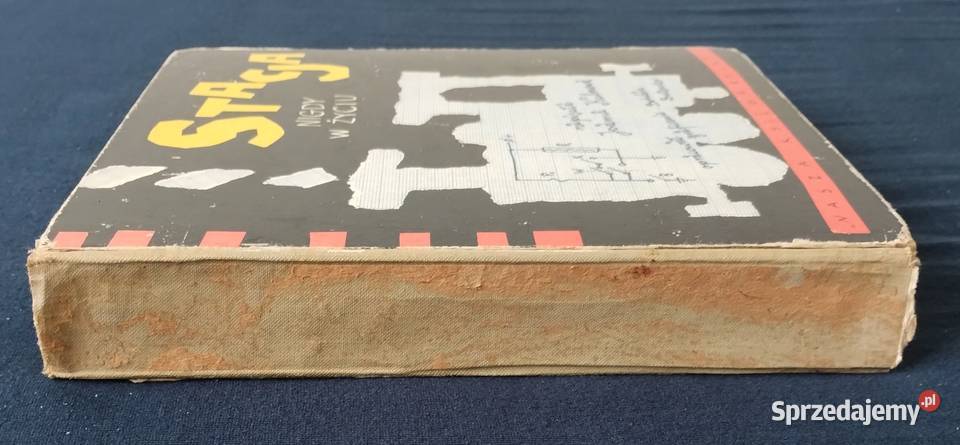 Stacja Nigdy W Życiu Joanna Kulmowa literatura piękna - proza polska Bełchatów sprzedam