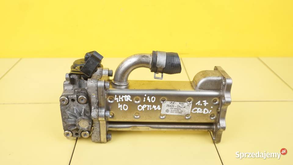 i40 OPTIMA CARENS 17 CRDI 15r D4FD chlodnica świętokrzyskie Suków