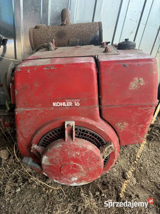 Silnik kohler magnum 20 podkarpackie Kłodawa
