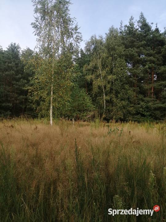 Działka Grunty i działki Jeziórka