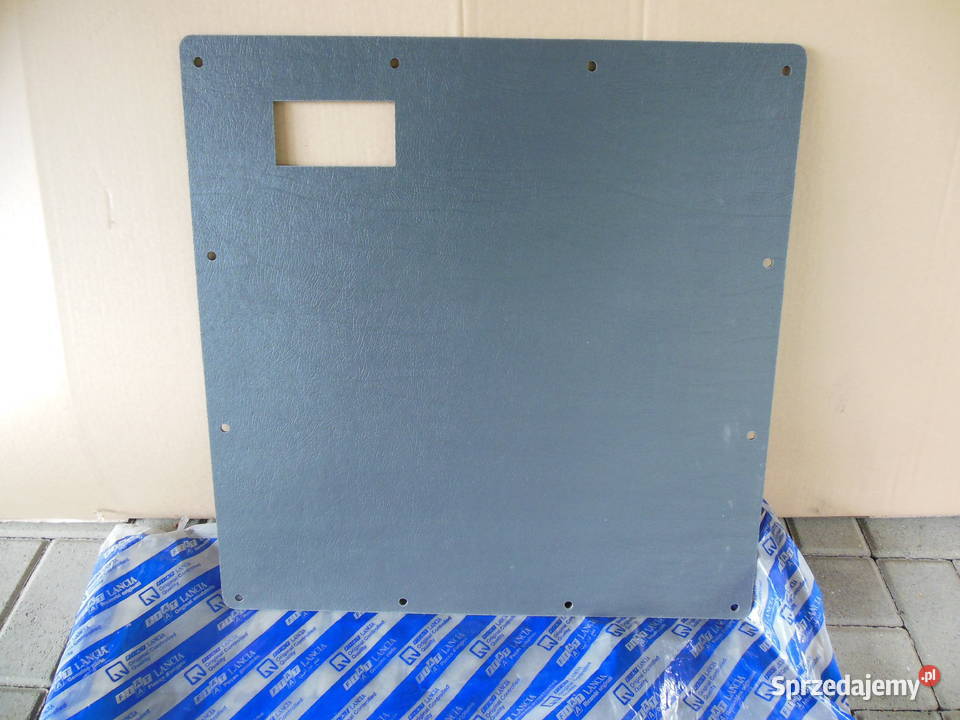 Panel Drzwi Przednich Fiat Ducato 1303019650 Kozy