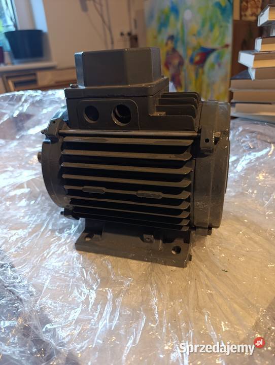 silnik elektryczny wysokotemperaturowy pomorskie Gdynia