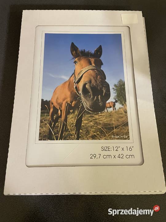 Antyrama 297x42 Tychy