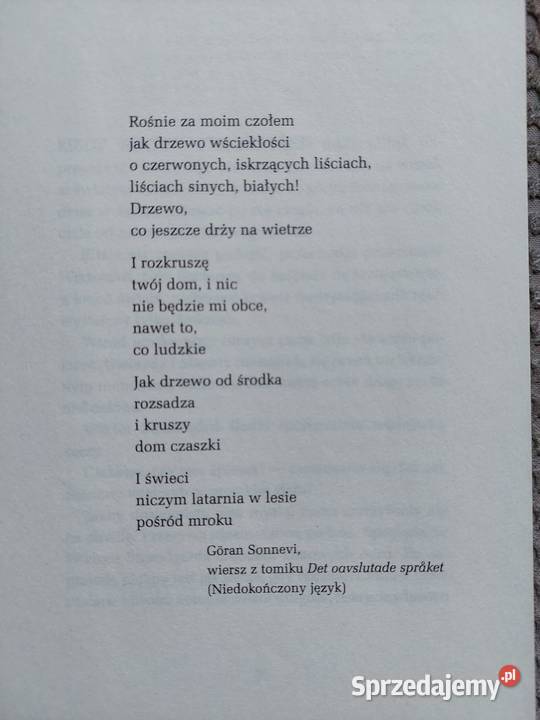 Burza słoneczna sa Larsson Rok wydania 2013 Proza i poezja małopolskie