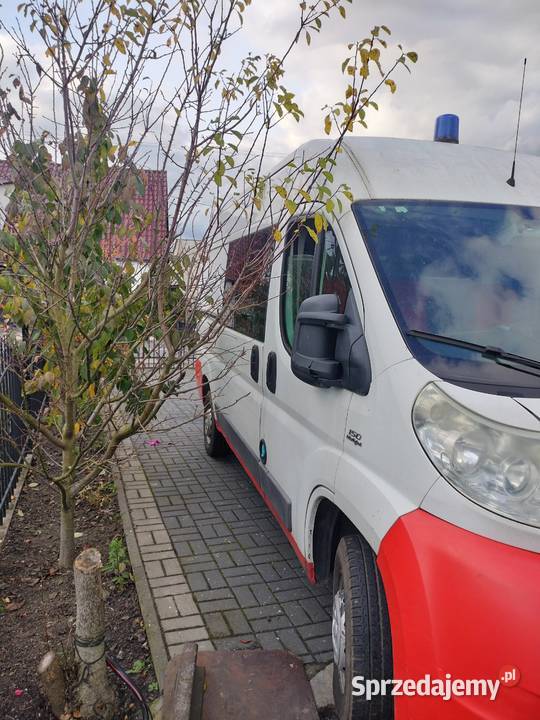 fiat ducato lubuskie Drągowina