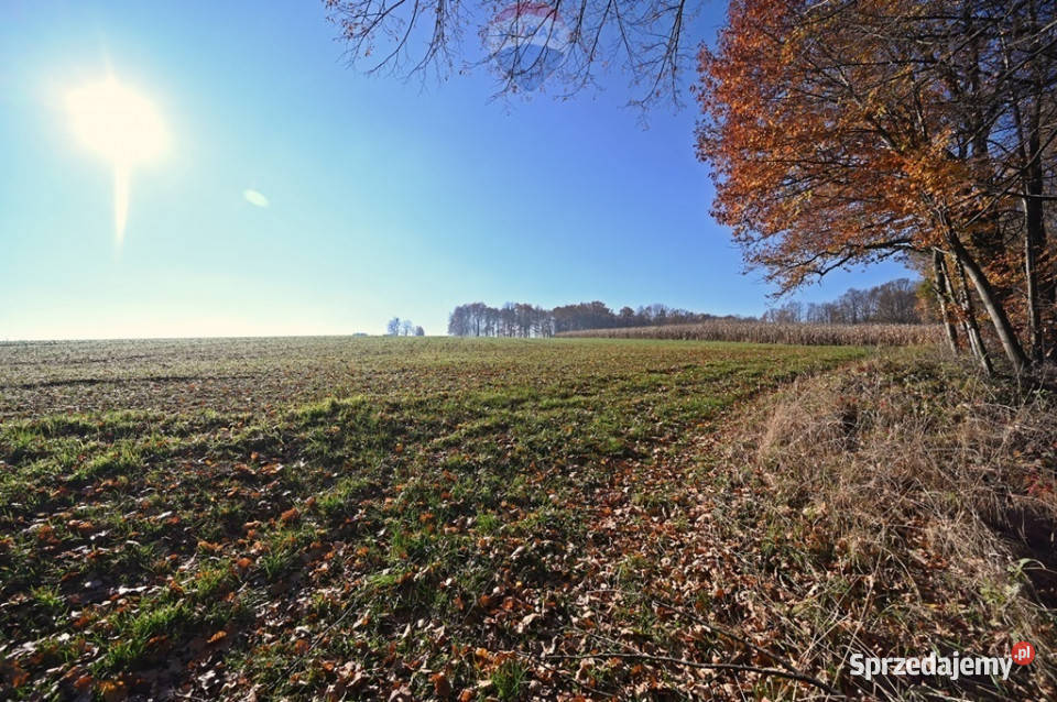 Działka rolna Witkowice Osiek