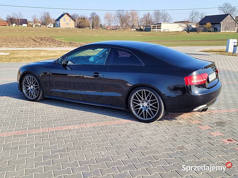 DOINWESTOWANY EGZEMPLARZ wspomaganie kierownicy Słomniki