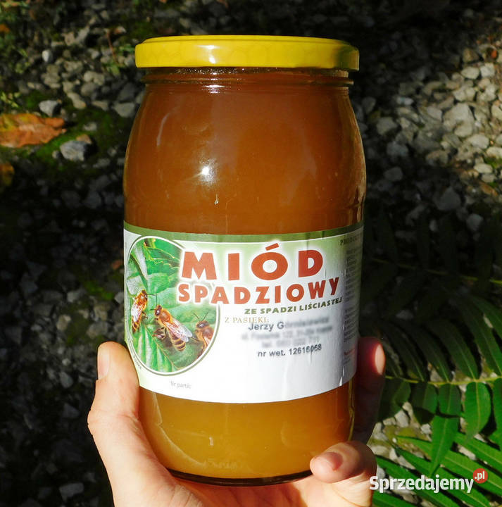 Polski prawdziwy miód spadziowy liściasty 2024 Kraków sprzedam