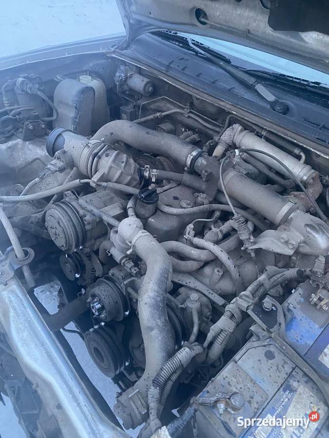 Isuzu D na części uszkodzony Wolsztyn