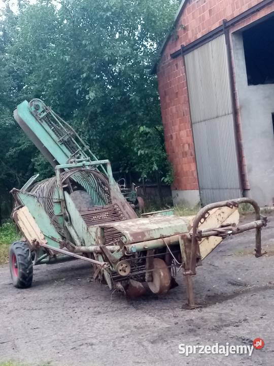 Orlik kombajn wyorywacz kopaczka Kalisz