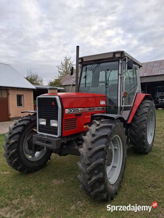 Massey Ferguson 3085 105 mazowieckie Nieciecz Włościańska