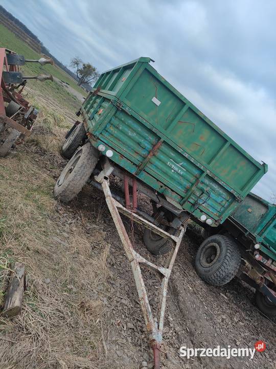 Przyczepa d46 sztywna opłacona Łobżenica
