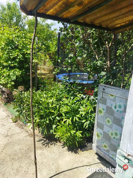 Działka ROD OŁAWKA Krakowska Wrocław