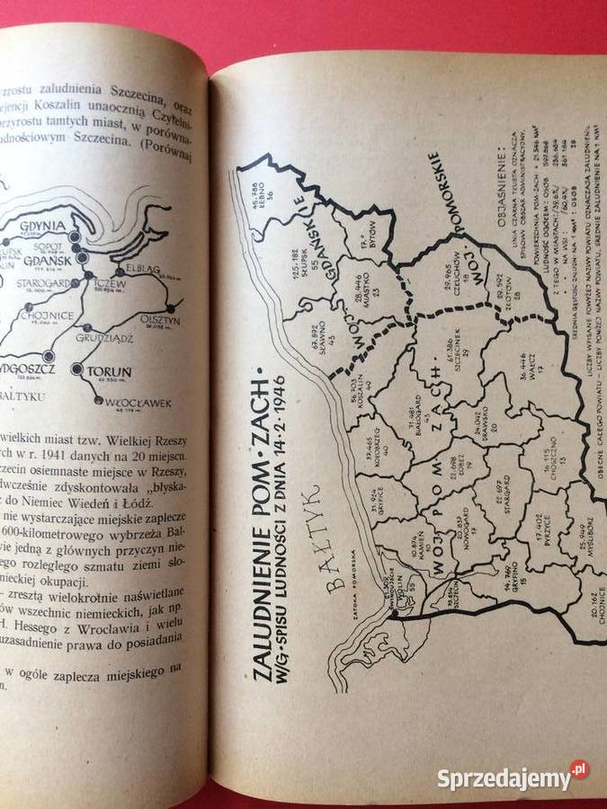 371 Szczecin Fakty I Liczby zachodniopomorskie sprzedam