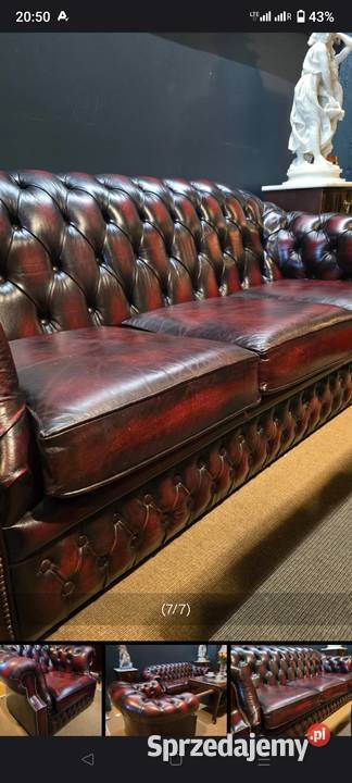 Chesterfield angielski Biała Podlaska