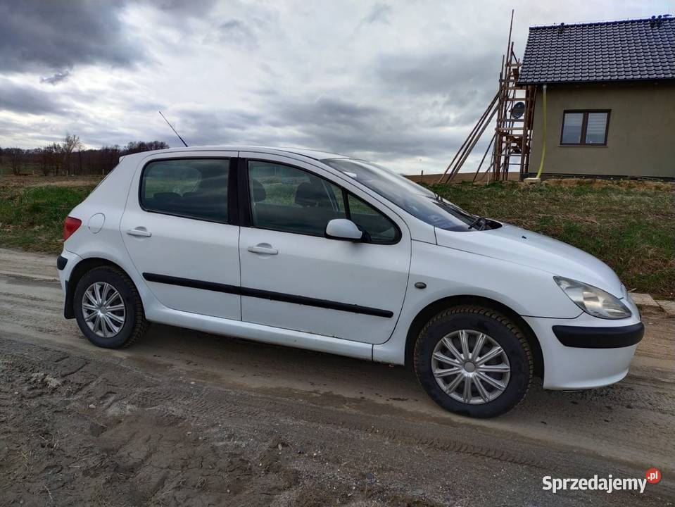 Skup samochodów firmowych i flot szybka gotówka Jelenia Góra