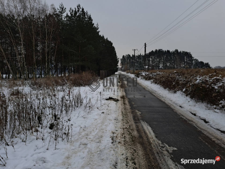 Działki budowlane Miłocice Małe asfalt sprzedam