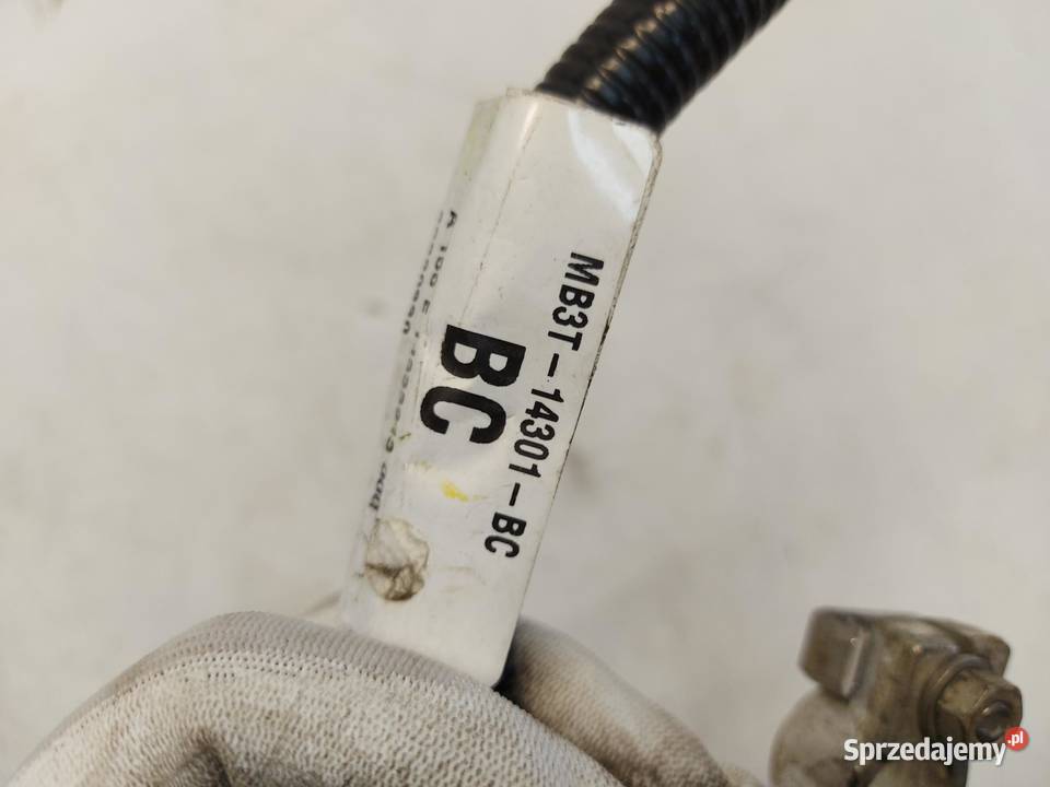 Ford Ranger VI 6 2024r KLEMA MINUSOWA dolnośląskie