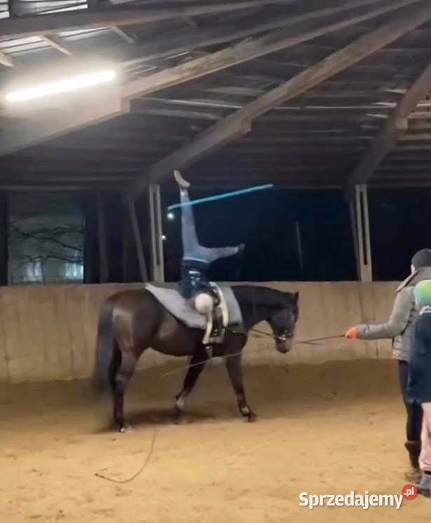 Walach do małego sportu