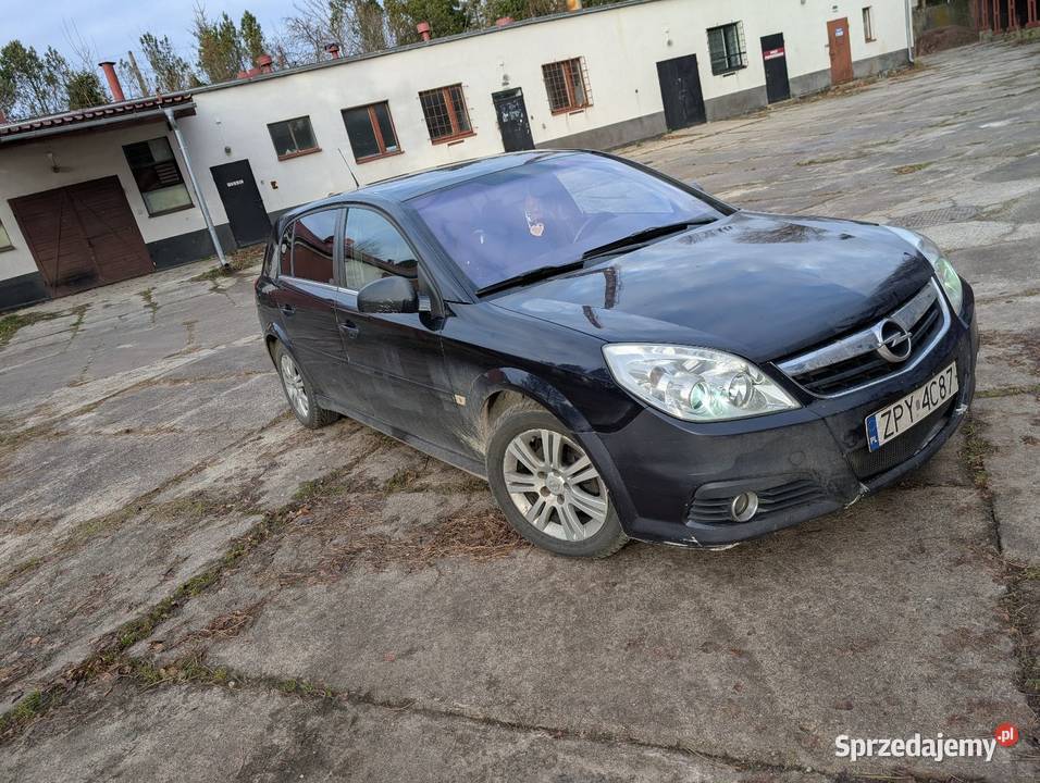 Opel Signum 19 cdti 150 Zarejestrowany w Polsce Słupsk