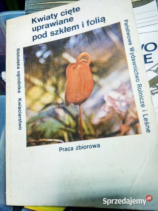 Kwiaty cięte uprawiane ppd szkłem i folią