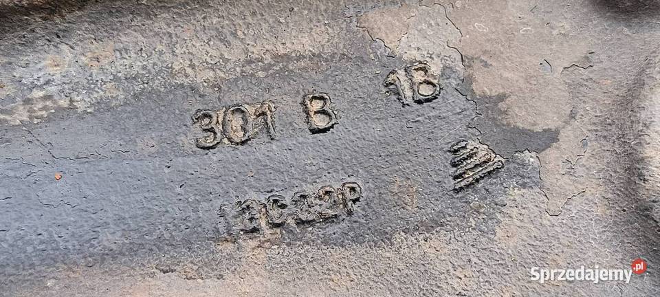 WAHACZ PRZÓD PRAWY RENAULT MASTER III osobowe kujawsko-pomorskie Lipno