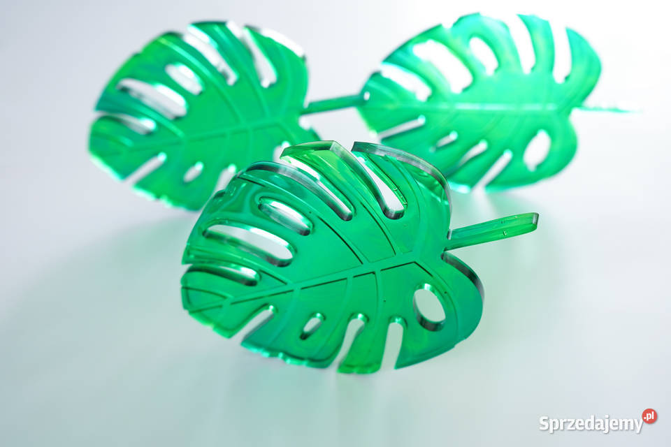 Podkładki pod kieliszki liście monstery mazowieckie Warszawa