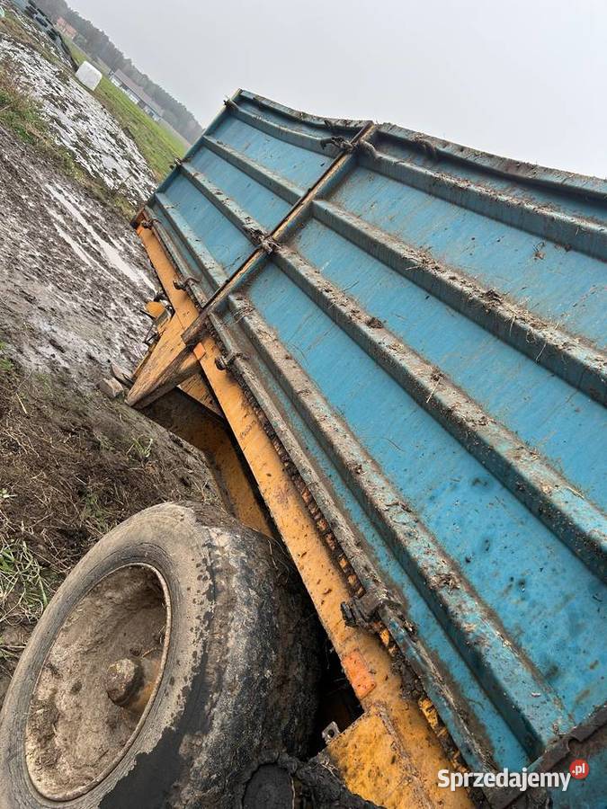 Rozrzutnik Rolland 7 ton Łuków