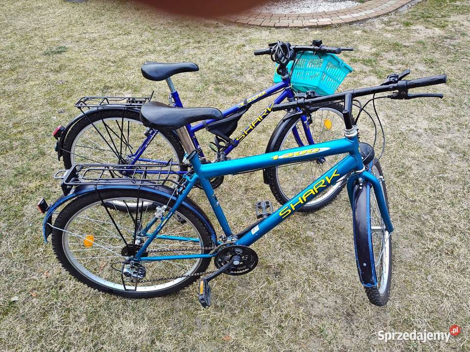 Rower męski i damski Shark mazowieckie Sułkowice