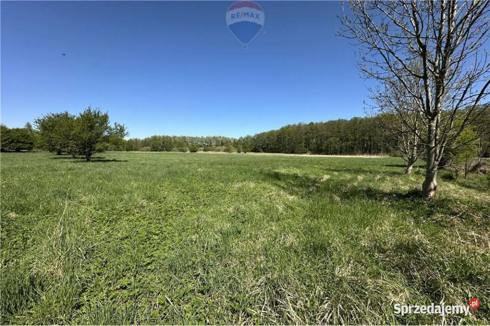 Tereny produkcyjno magazynowo usługowe DK 36 Sprzedaż