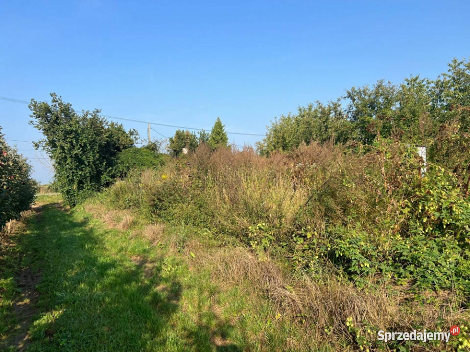 SUPER DZIAŁKA BUDOWLANA Czerska Brzumin