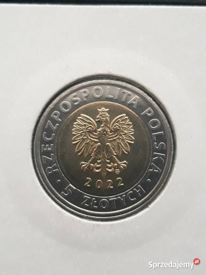 5 Klasztor pobenedyktyński na Krzyżu 2022 rUNC Konin