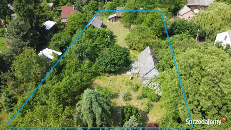 Siedlisko w Kaliszanach Kolonii gm Józefów Nieruchomości Kaliszany-Kolonia