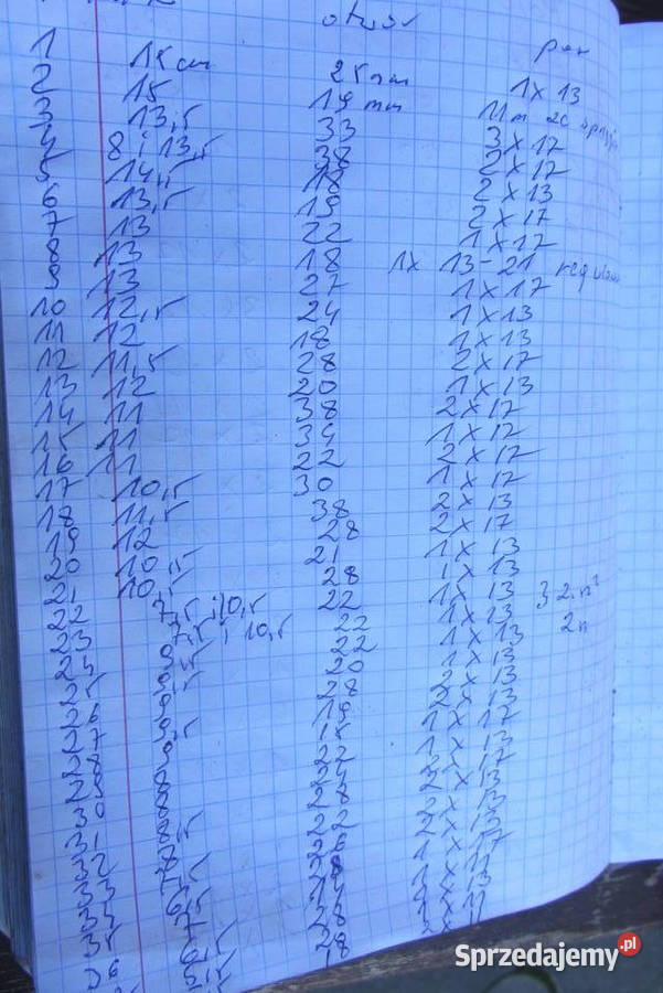 Koło pasowe do krajzegi Pozostałe Biłgoraj