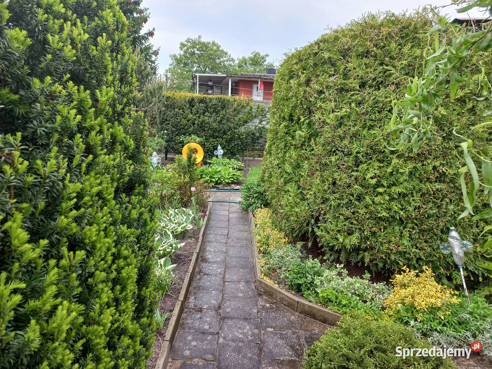 Sprzedam działkę ROD Świętojańska Konin