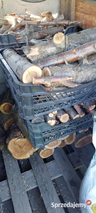 Owocowe drewno do wędzenia Rydultowy Rydułtowy