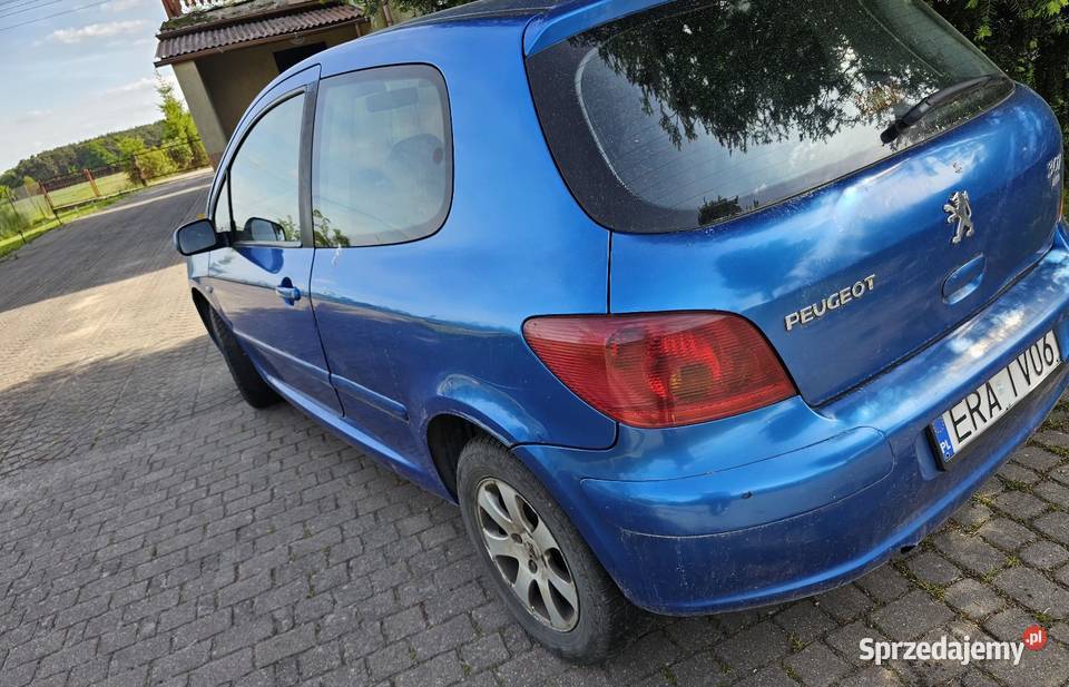 Sprzedam peugeot 307 20hdi łódzkie Kobiele Wielkie
