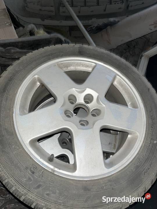 Felgi 5x100 r16 z rocznymi oponami Dębica aluminiowe Nowy Targ sprzedam