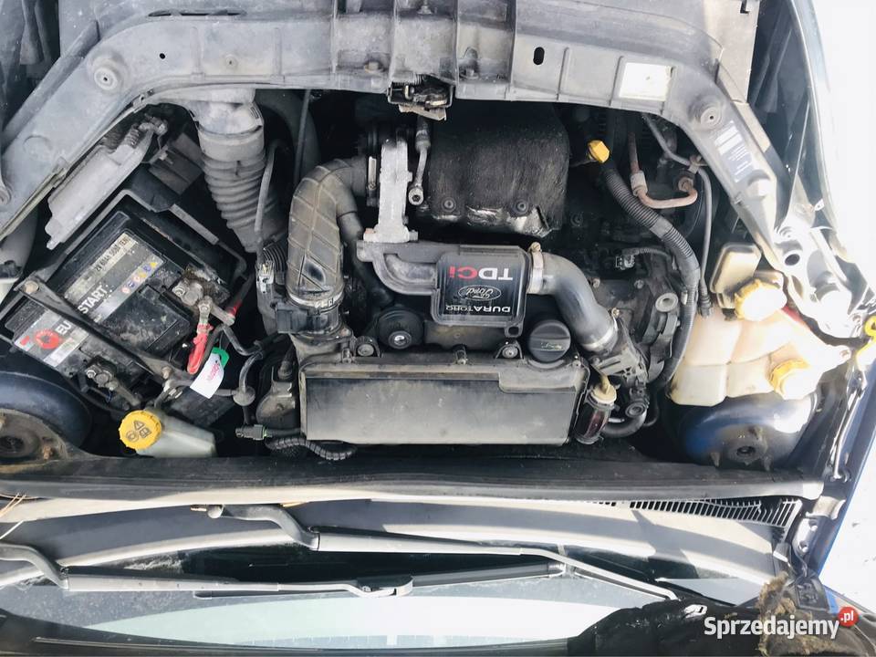 Ford fiesta mk6 14 tdci diesel poduszka powietrzna Szczecin