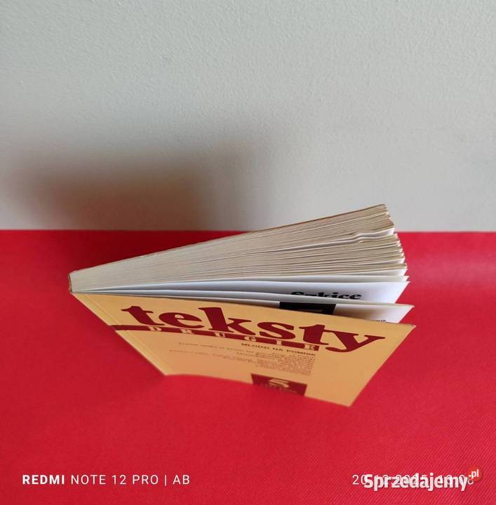 Teksty Drugie 5 41 1996 Młodzi na pomnik IBL PAN śląskie Katowice