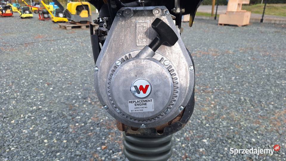 Skoczek Stopa WACKER NEUSON BS 502 plus 11in Maszyny budowlane Trzebnica