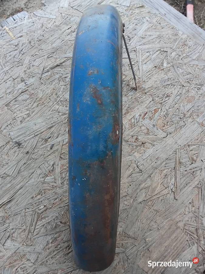 Komar błotnik przód