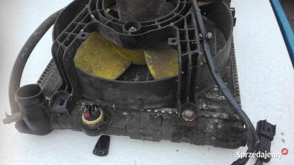 Polonez caro atu truck chlodnica dwa czujniki osobowe Pozostałe Suskowola